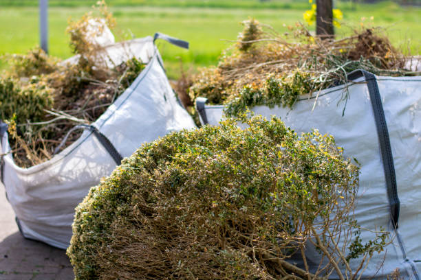 Best Yard Cleanup Services  in Holt, MI